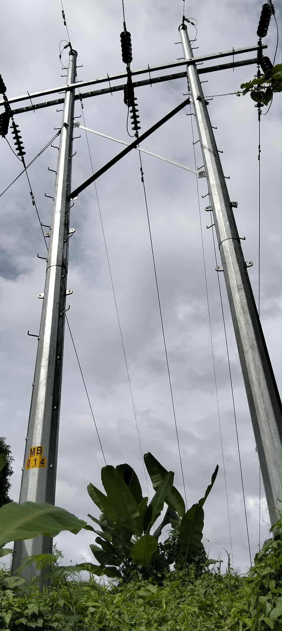 Supply and Erection/Installation of Mogpog-Buenavista 69kV Transmission Line Project (LOG MSSP 2023-07-054-ALC)